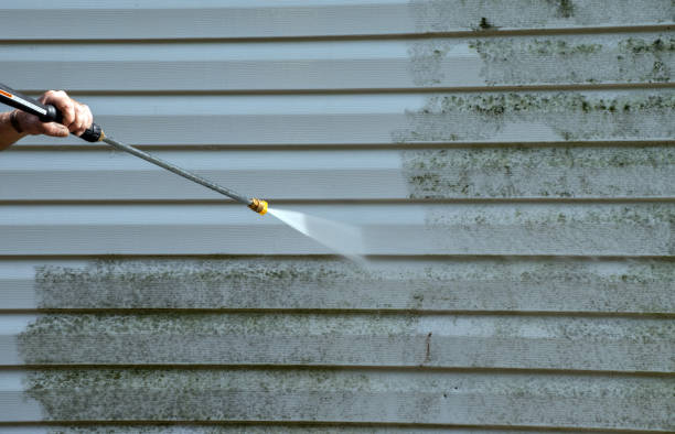 Mold Removal Process in Wayne, MI
